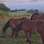 Areano * Escoriaza