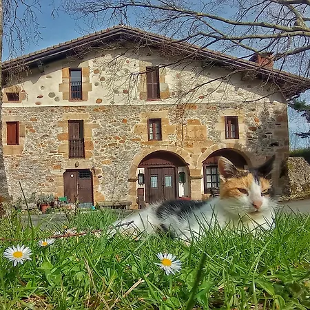 Areano Escoriaza