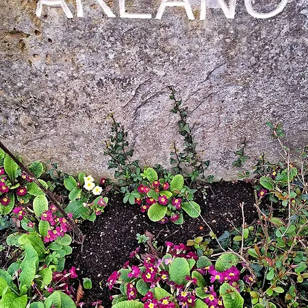 Casa rural Areano *