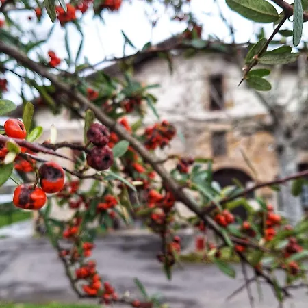 Летний дом Areano Эскориаса