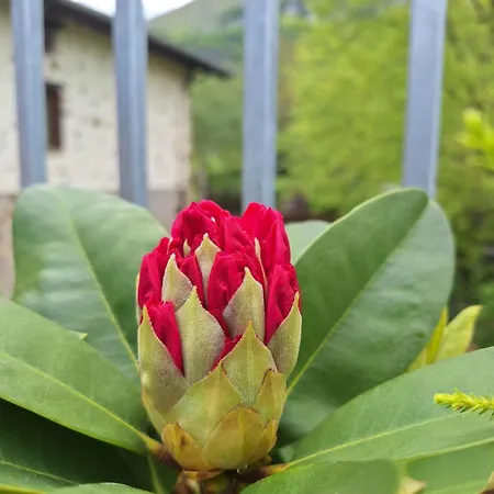 Areano Casa de Campo