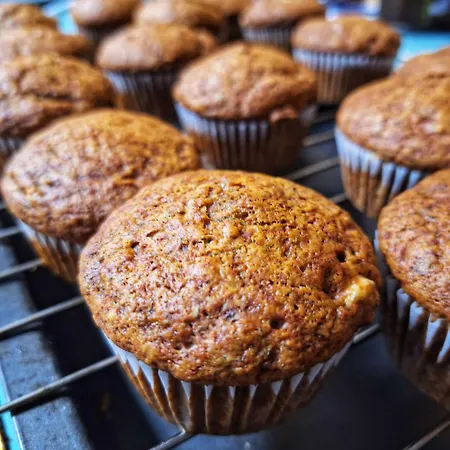 Casa de Campo Areano