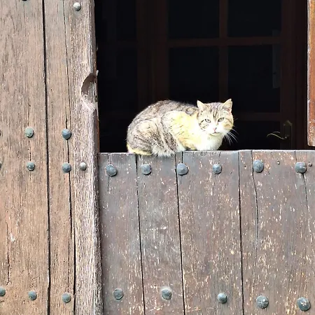 Летний дом Areano Эскориаса