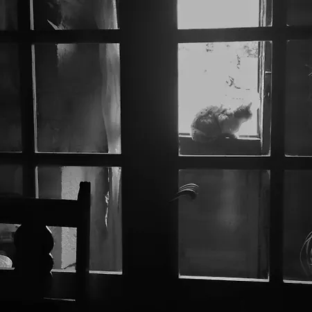 Casa de Campo Areano