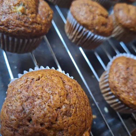 Летний дом Areano