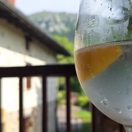 Летний дом Areano