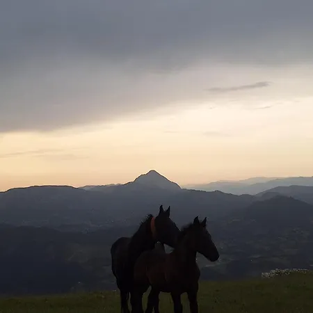 Areano * Эскориаса