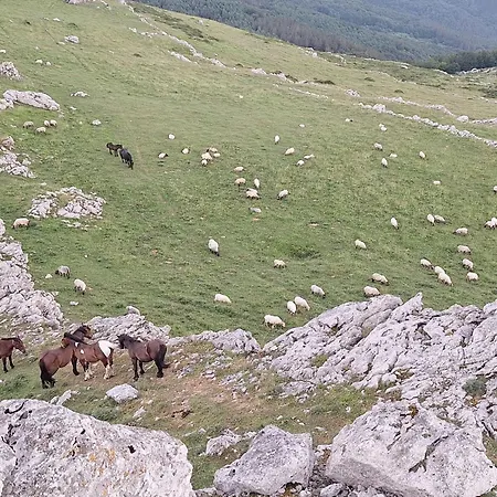 Areano Lantställe Escoriaza
