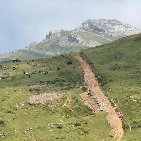 Areano * Эскориаса