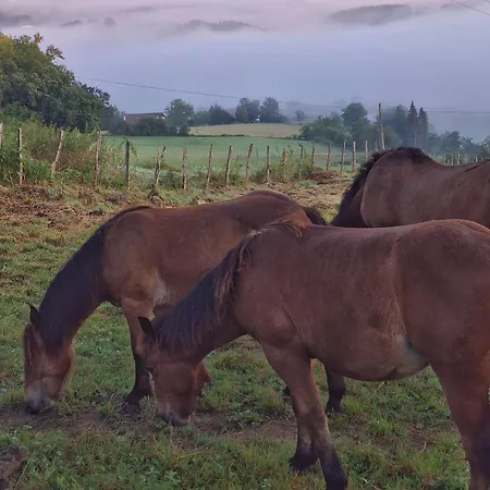 Areano * Эскориаса