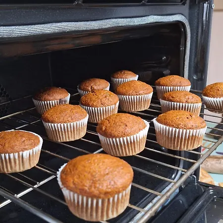 Casa de Campo Areano Escoriaza