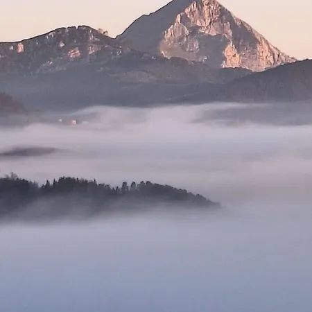 Летний дом Areano