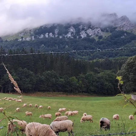 Areano Летний дом