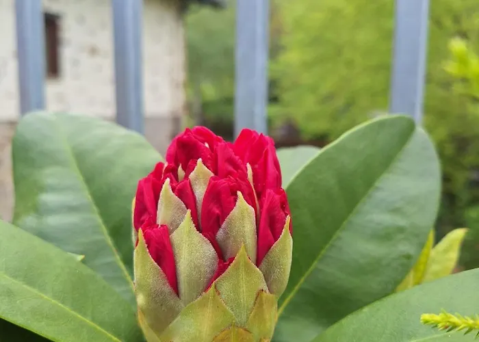 Areano Εξοχικό σπίτι