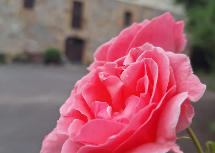 Εξοχικό σπίτι Areano Escoriaza